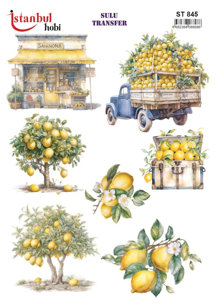 Sulu Transfer Kağıdı 25x35cm ST-845