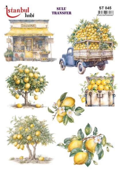 Sulu Transfer Kağıdı 25x35cm ST-845