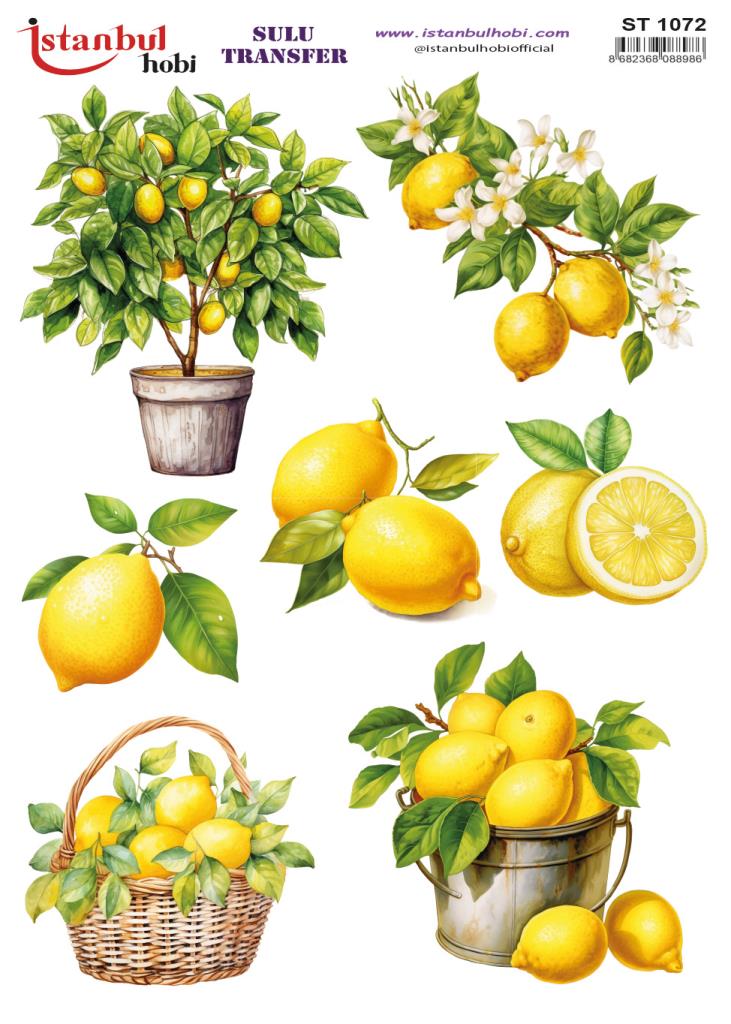 Sulu Transfer Kağıdı 25x35cm ST-1072