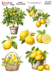 Sulu Transfer Kağıdı 25x35cm ST-1072