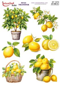 Sulu Transfer Kağıdı 25x35cm ST-1072