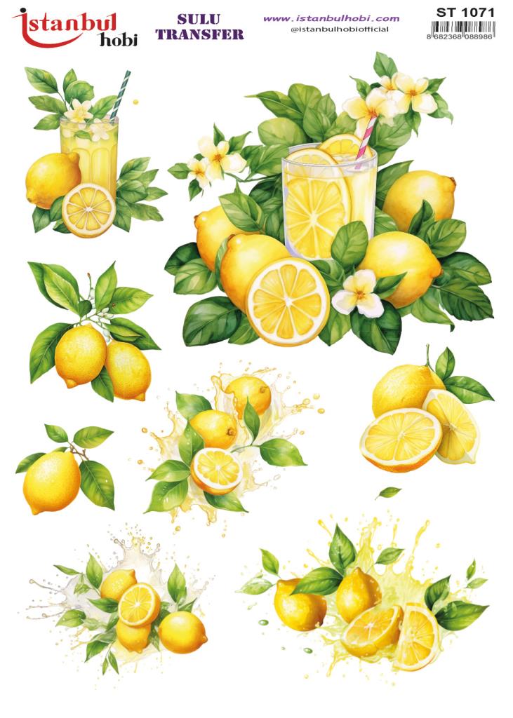 Sulu Transfer Kağıdı 25x35cm ST-1071