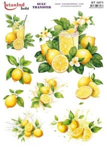 Sulu Transfer Kağıdı 25x35cm ST-1071