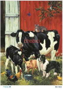 Diamond Pirinç Dekopaj Kağıdı - 3024