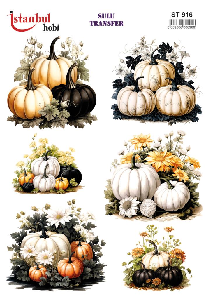 Sulu Transfer Kağıdı 25x35cm ST-916