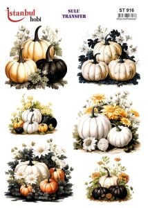 Sulu Transfer Kağıdı 25x35cm ST-916