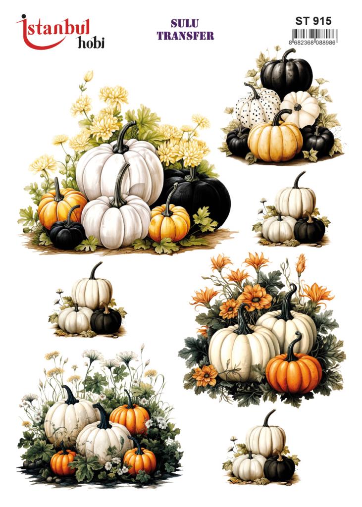 Sulu Transfer Kağıdı 25x35cm ST-915