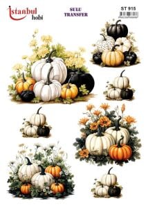 Sulu Transfer Kağıdı 25x35cm ST-915