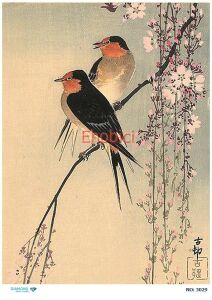 Diamond Pirinç Dekopaj Kağıdı - 3029