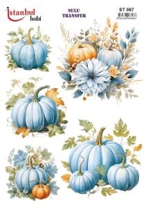 Sulu Transfer Kağıdı 25x35cm ST-867