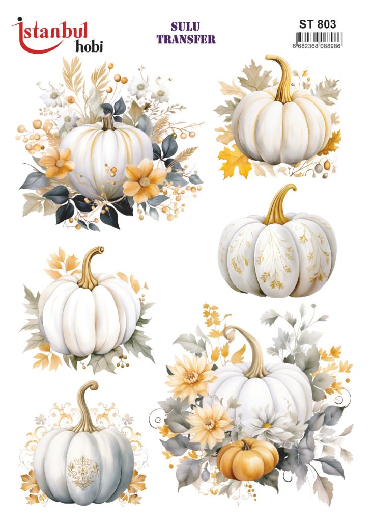 Sulu Transfer Kağıdı 25x35cm ST-803