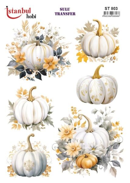 Sulu Transfer Kağıdı 25x35cm ST-803