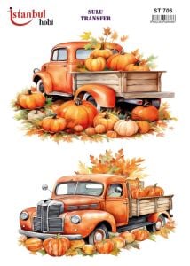 Sulu Transfer Kağıdı 25x35cm ST-706