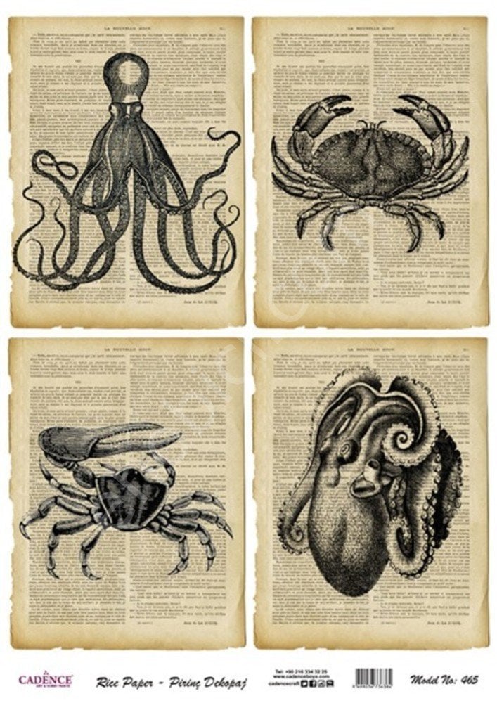 Model 465 - Pirinç Dekopaj Cadencecraft