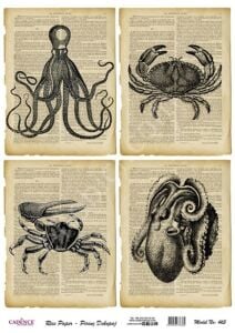 Model 465 - Pirinç Dekopaj Cadencecraft