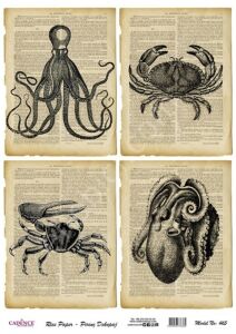 Model 465 - Pirinç Dekopaj Cadencecraft