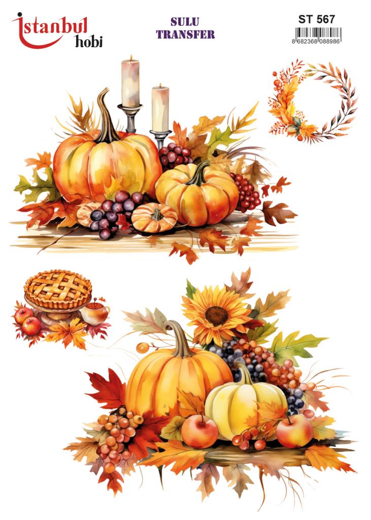 Sulu Transfer Kağıdı 25x35cm ST-567