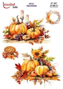 Sulu Transfer Kağıdı 25x35cm ST-567