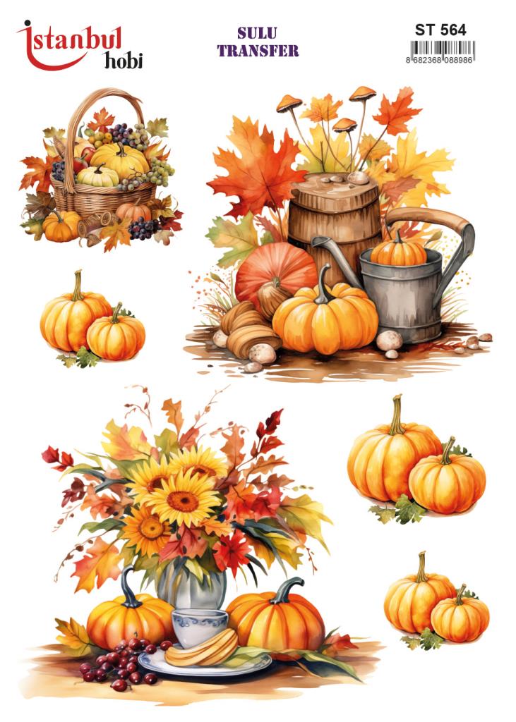 Sulu Transfer Kağıdı 25x35cm ST-564