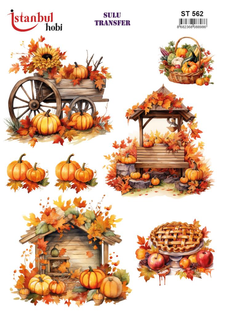 Sulu Transfer Kağıdı 25x35cm ST-562