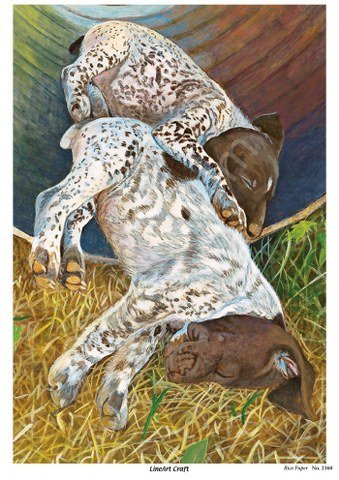 Lineart Pirinç Dekopaj Kağıdı Model - 2360