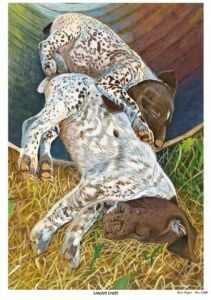 Lineart Pirinç Dekopaj Kağıdı Model - 2360