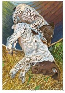 Lineart Pirinç Dekopaj Kağıdı Model - 2360