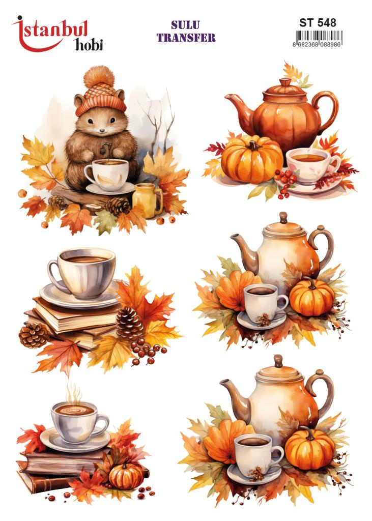 Sulu Transfer Kağıdı 25x35cm ST-548