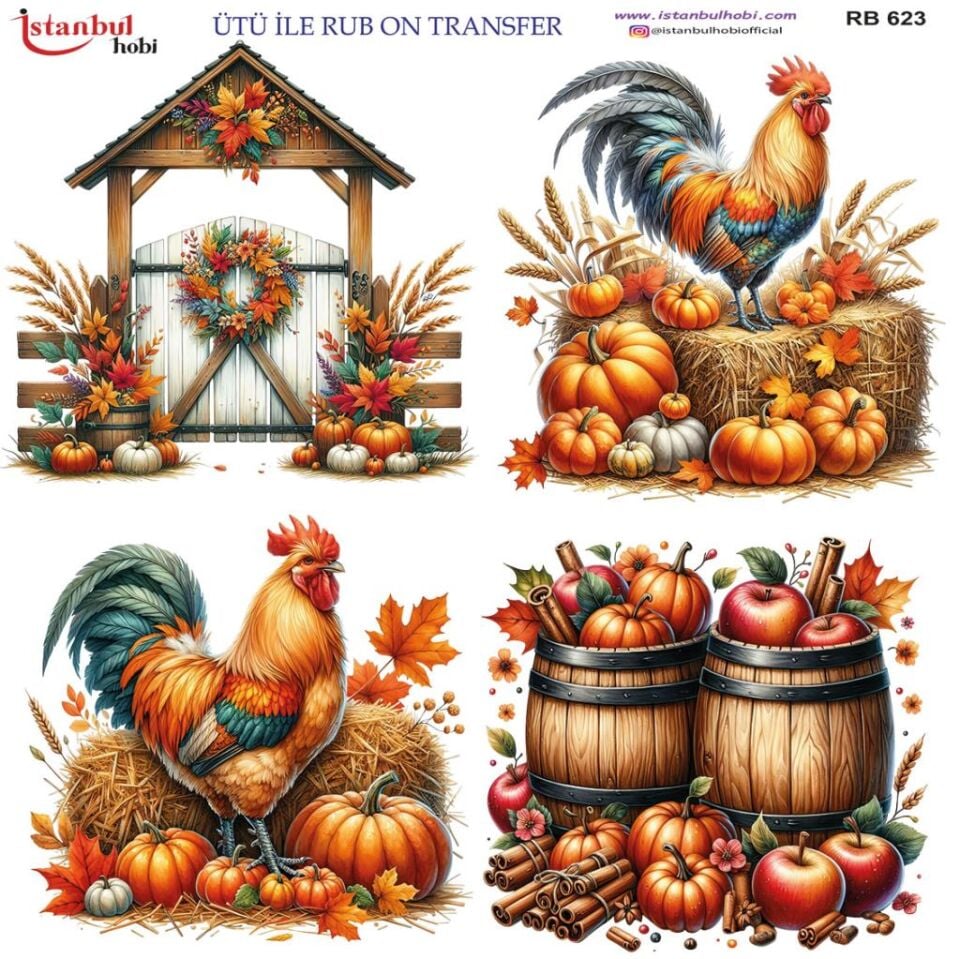 Ütü ile Rub On Transfer Kağıdı 30x30cm RB-623