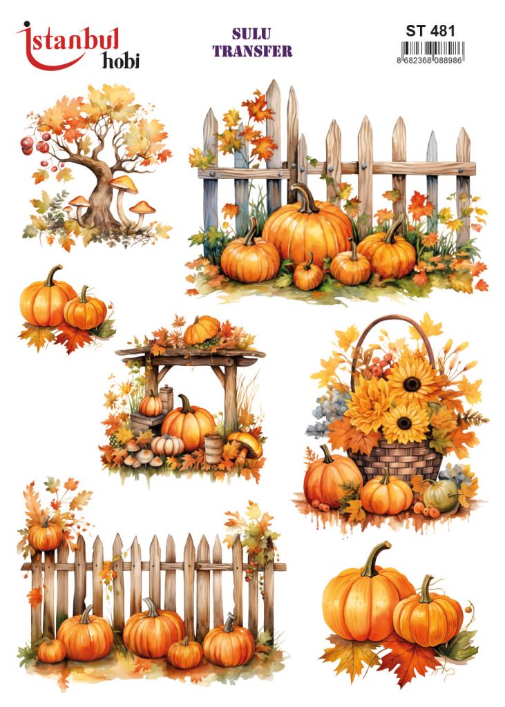 Sulu Transfer Kağıdı 25x35cm ST-481