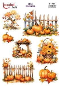 Sulu Transfer Kağıdı 25x35cm ST-481