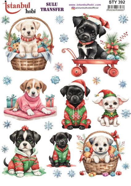 Yılbaşı Sulu Transfer 25x35cm STY392