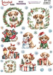 Yılbaşı Sulu Transfer 25x35cm STY394