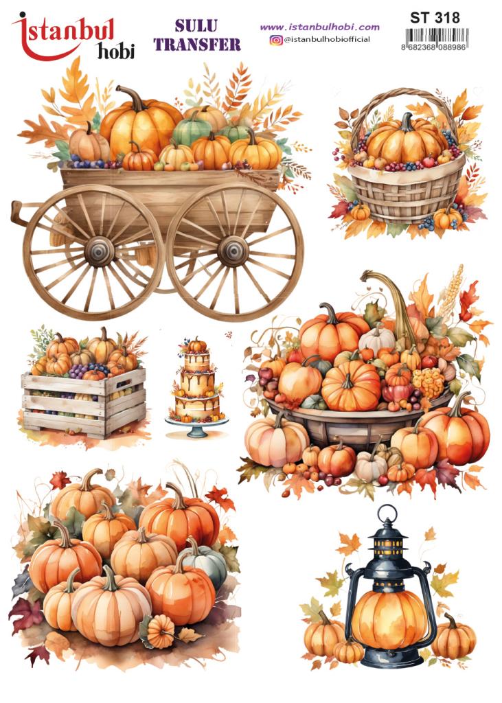 Sulu Transfer Kağıdı 25x35cm ST-318