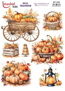 Sulu Transfer Kağıdı 25x35cm ST-318