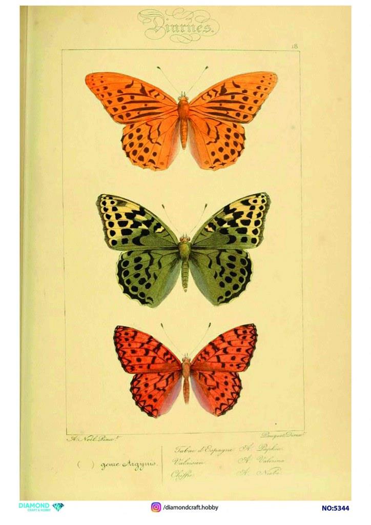 Diamond Pirinç Dekopaj Kağıdı - 5344