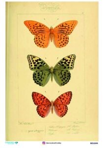 Diamond Pirinç Dekopaj Kağıdı - 5344