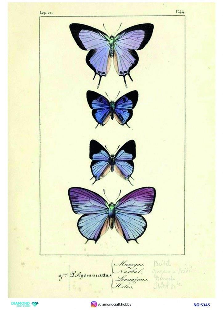 Diamond Pirinç Dekopaj Kağıdı - 5345