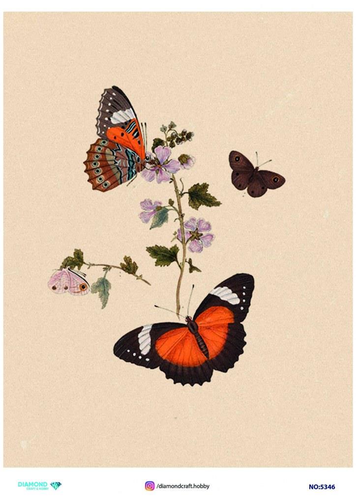 Diamond Pirinç Dekopaj Kağıdı - 5346