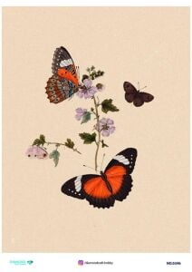 Diamond Pirinç Dekopaj Kağıdı - 5346