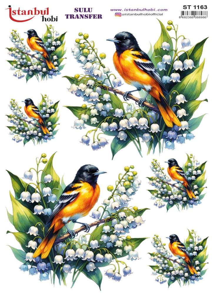 Sulu Transfer Kağıdı 25x35cm ST-1163