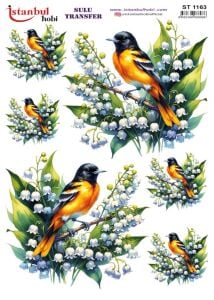 Sulu Transfer Kağıdı 25x35cm ST-1163