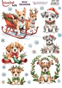 Yılbaşı Sulu Transfer 25x35cm STY391