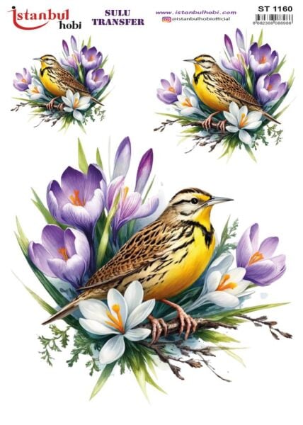 Sulu Transfer Kağıdı 25x35cm ST-1160