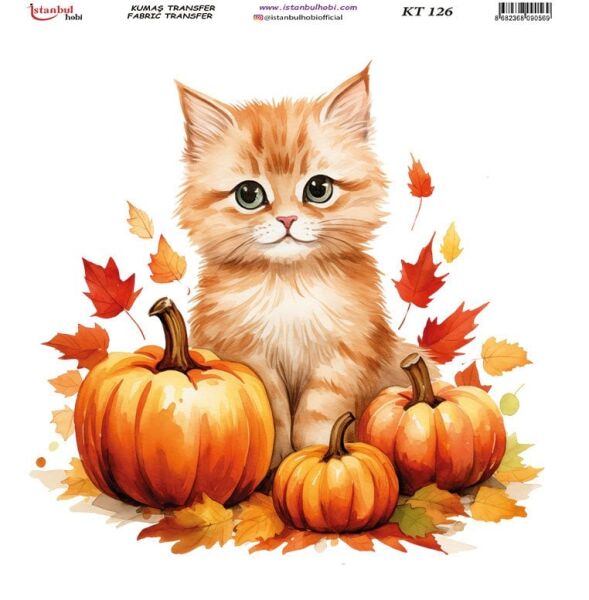 Kumaş Transfer Kağıdı 20x20cm KT-126