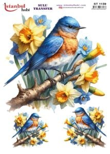 Sulu Transfer Kağıdı 25x35cm ST-1159