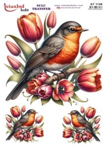 Sulu Transfer Kağıdı 25x35cm ST-1158