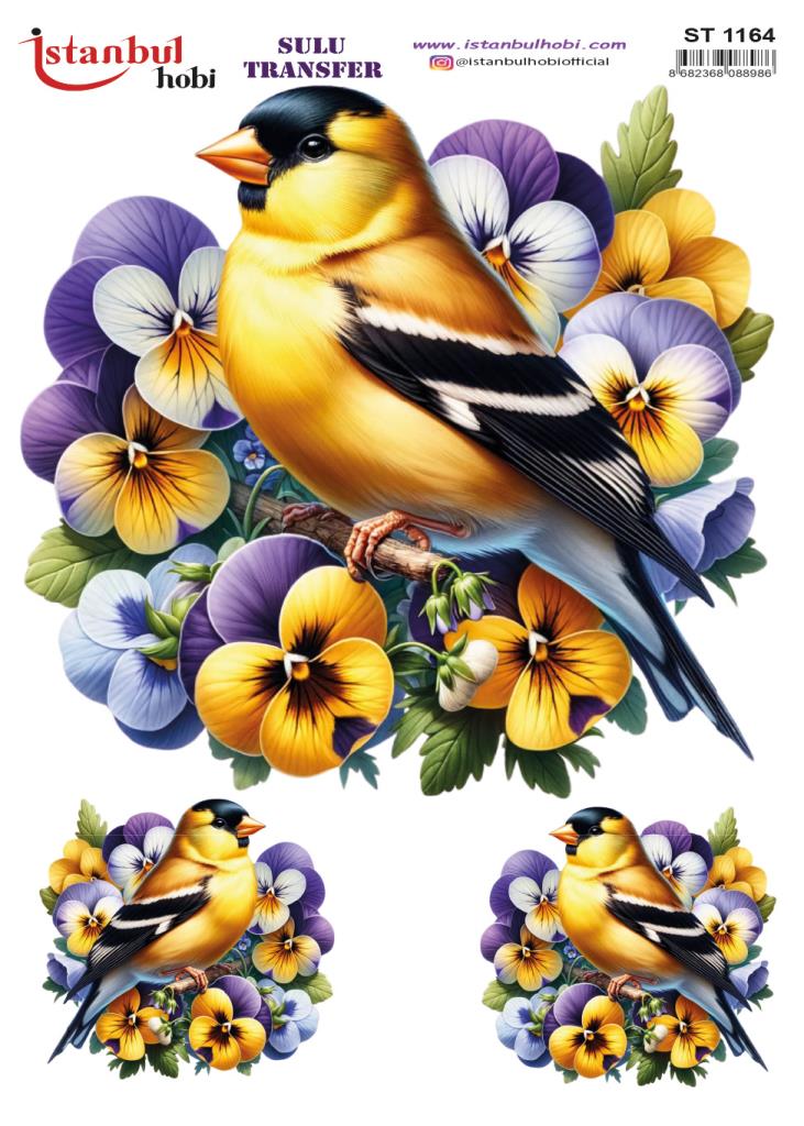 Sulu Transfer Kağıdı 25x35cm ST-1164