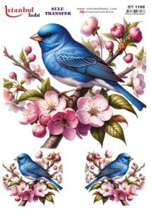 Sulu Transfer Kağıdı 25x35cm ST-1168