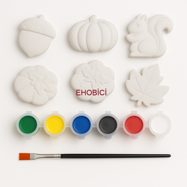 Ehobici Taş Boyama Seti Sincap ve Orman 6 Renk Akrilik Boya 5ml + Fırça